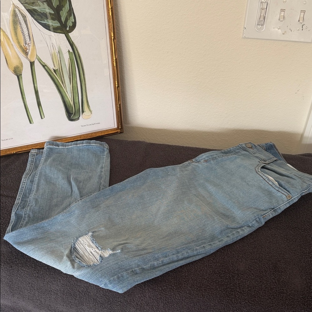 Banana Republic Light Blue Straight Leg Jeans